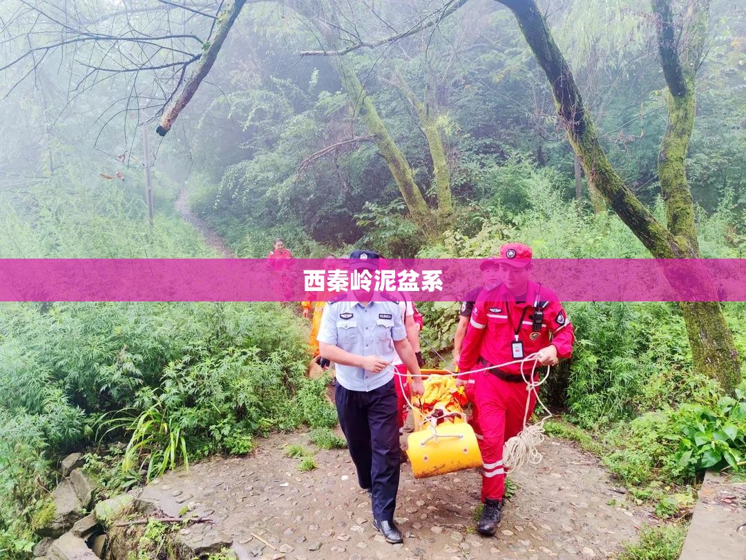 【同花顺官方网站手机版app下载/同花顺app官方下载】