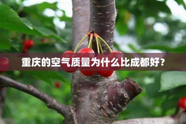 重庆的空气质量为什么比成都好? 重庆的空气质量为什么比成都好?