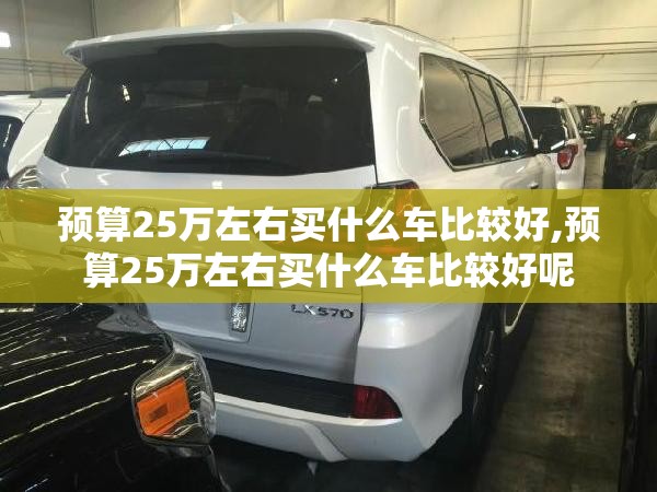 预算25万左右买什么车比较好,预算25万左右买什么车比较好呢