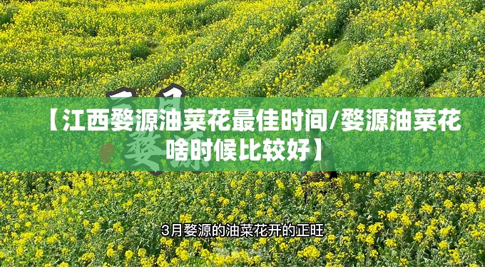 【江西婺源油菜花最佳时间/婺源油菜花啥时候比较好】