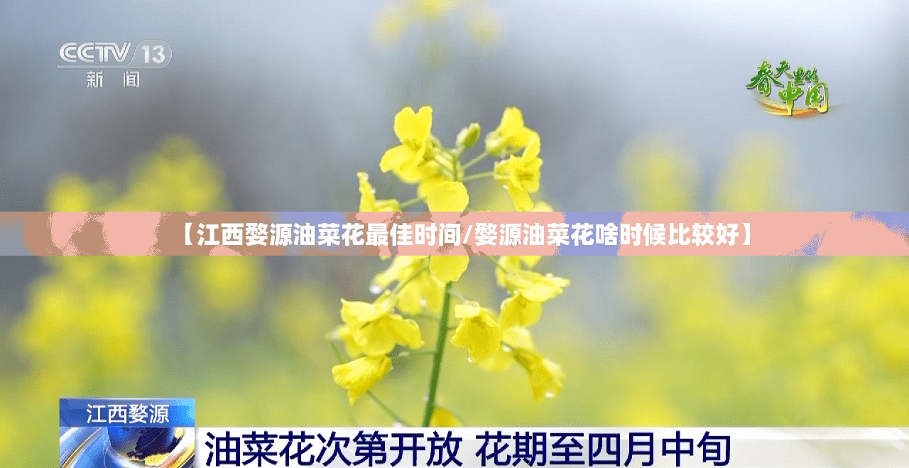 【江西婺源油菜花最佳时间/婺源油菜花啥时候比较好】
