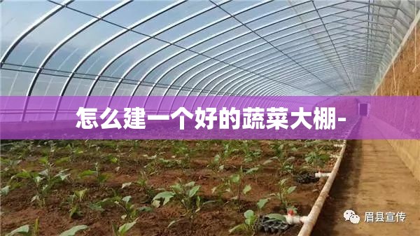 怎么建一个好的蔬菜大棚-