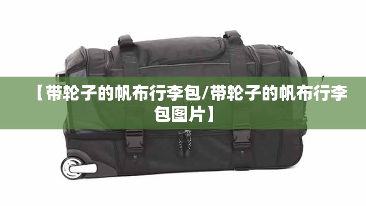 【天准影像测量仪/天准影像测量仪使用教程】