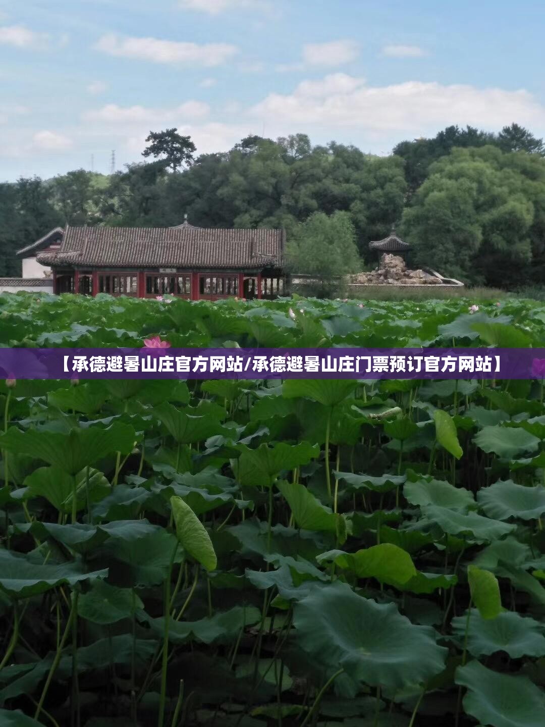 【辉腾车标字母phideon多少钱/辉腾车标志的英文字母】