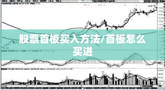 【带轮子的帆布行李包/带轮子的帆布行李包图片】