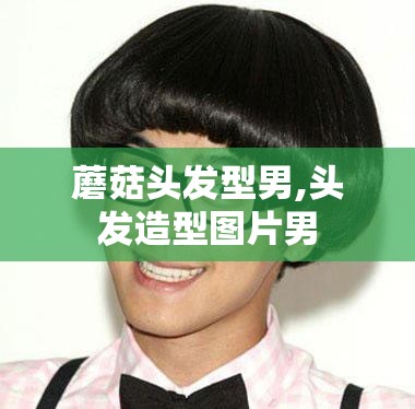 蘑菇头发型男,头发造型图片男