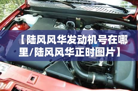 道家高人透露新冠疫情,道教说疫情