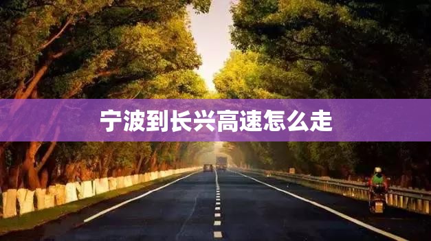 宁波到长兴高速怎么走