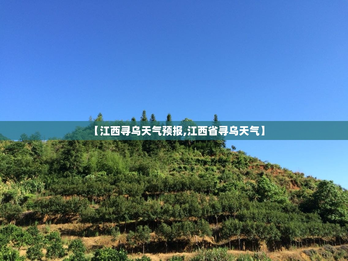 【宝马3系2023国内上市/宝马三系2023】