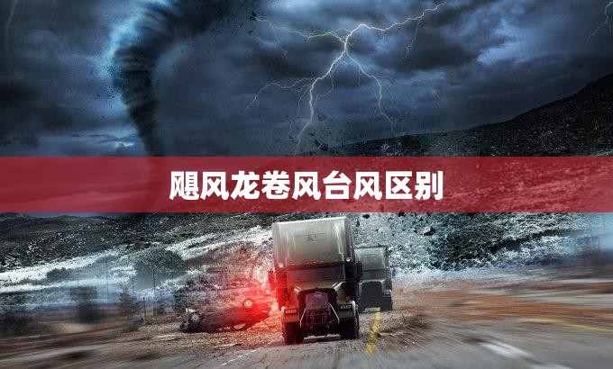 【中原证券手机版app/中原证券手机版官方网站】