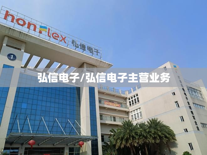 弘信电子/弘信电子主营业务 弘信电子/弘信电子主营业务