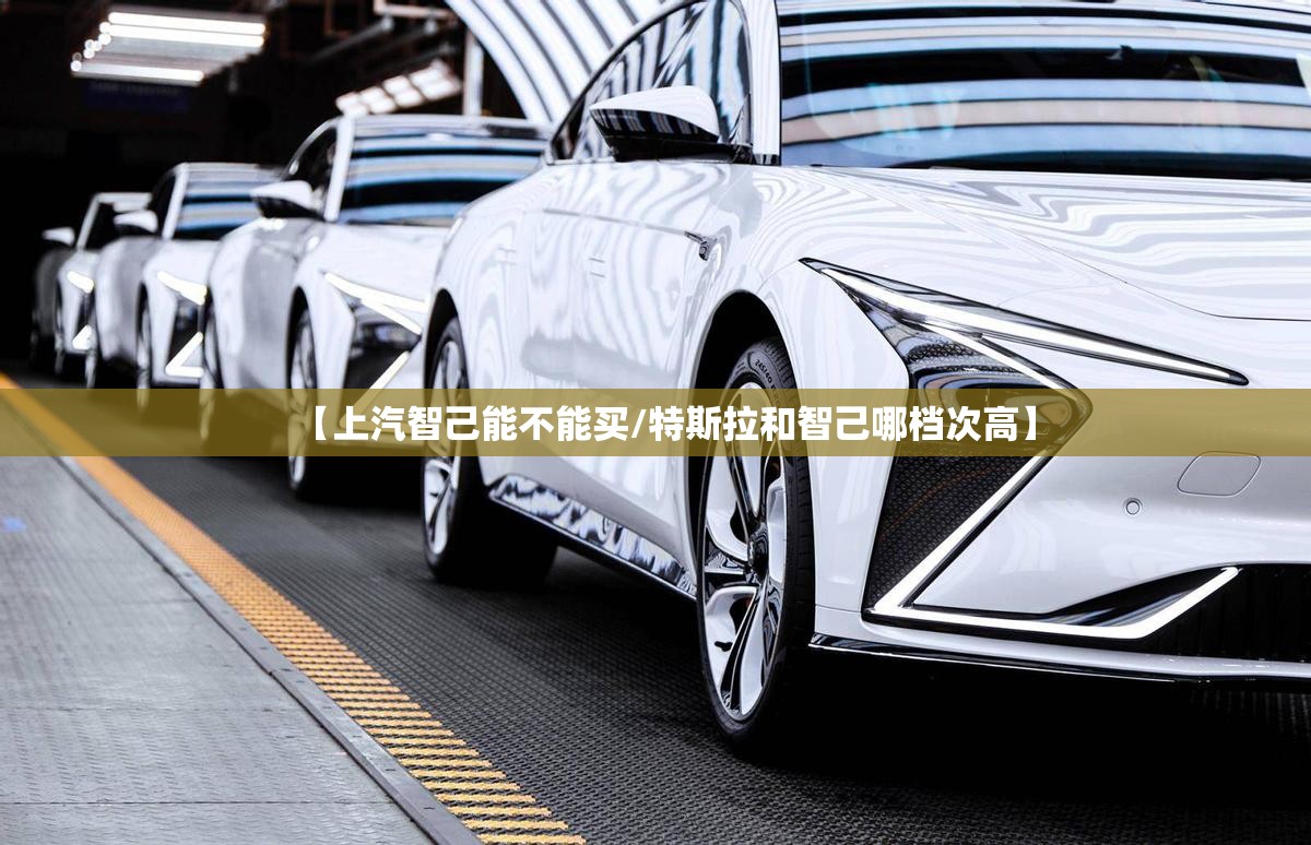 【上汽智己能不能买/特斯拉和智己哪档次高】