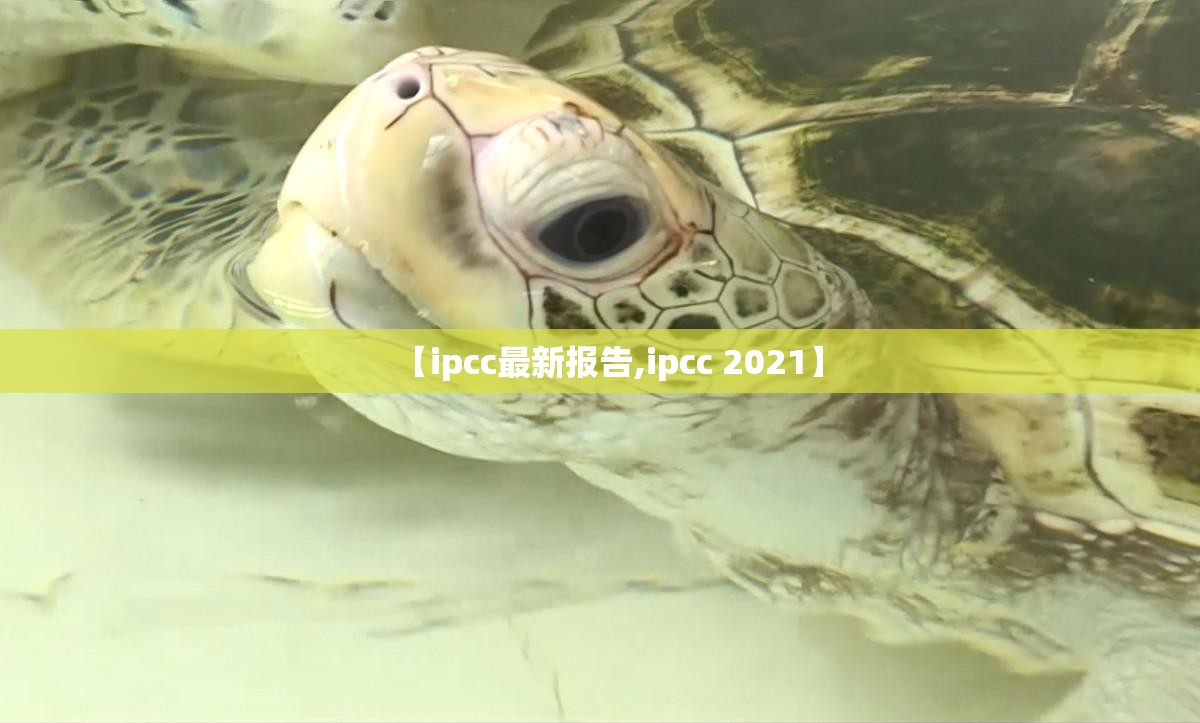 【高尔基的童年主要内容/高尔基的童年主要内容100字左右】