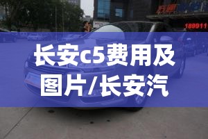 【高尔基的童年主要内容/高尔基的童年主要内容100字左右】