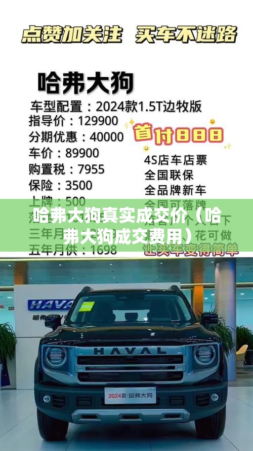 哈弗大狗真实成交价（哈弗大狗成交费用）