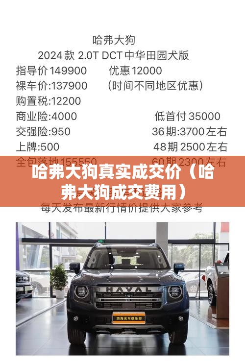 哈弗大狗真实成交价（哈弗大狗成交费用）