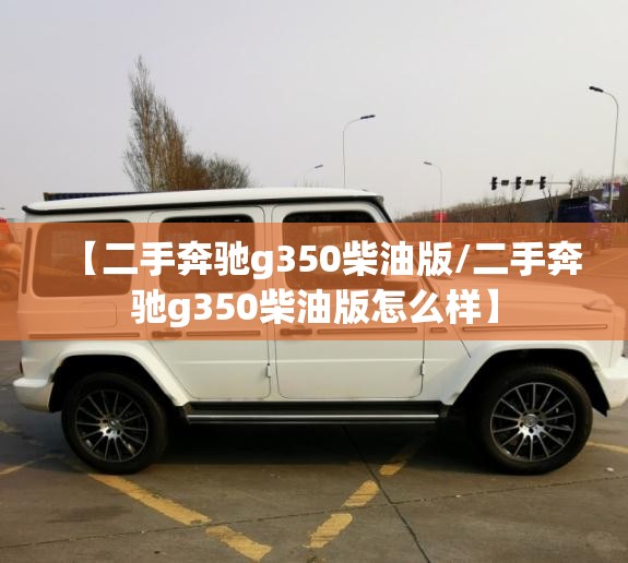 【二手奔驰g350柴油版/二手奔驰g350柴油版怎么样】