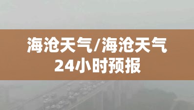 哈弗大狗真实成交价（哈弗大狗成交费用）