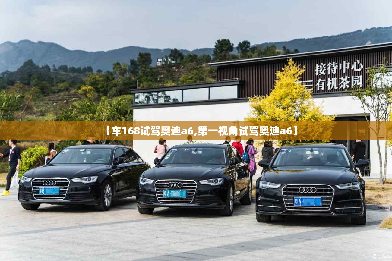 【广西台风最新消息台风路径,广西台风最新消息台风路径有哪些】