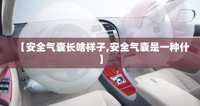 【安全气囊长啥样子,安全气囊是一种什】
