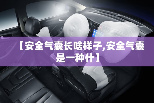 【安全气囊长啥样子,安全气囊是一种什】