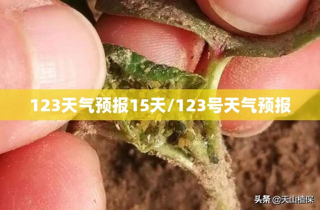 123天气预报15天/123号天气预报