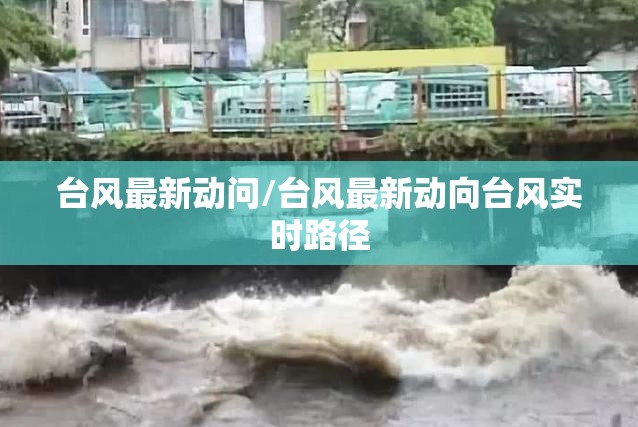 台风最新动问/台风最新动向台风实时路径 台风最新动问/台风最新动向台风实时路径