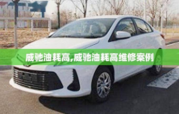辽宁彰武天气预报15天/彰武天气预报15天气