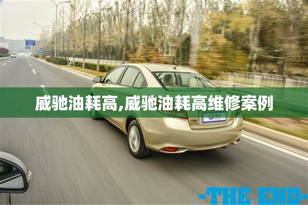 威驰油耗高,威驰油耗高维修案例