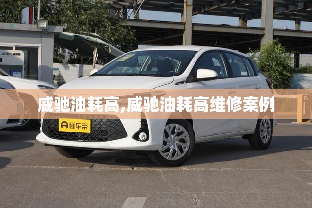 威驰油耗高,威驰油耗高维修案例