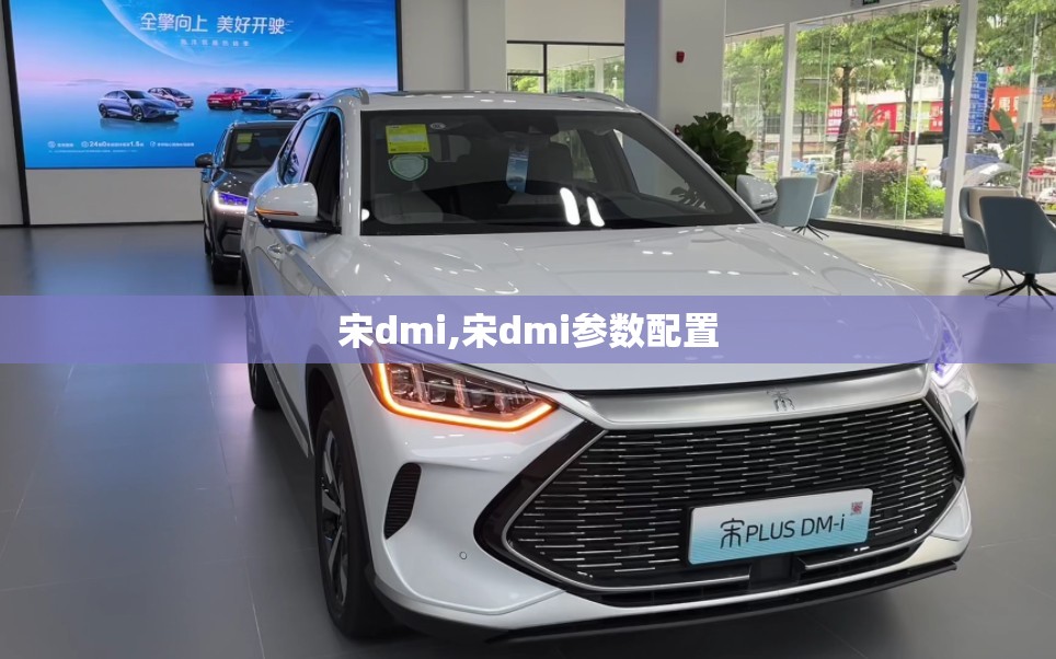 宋dmi,宋dmi参数配置