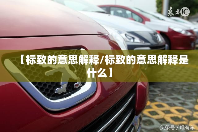 【标致的意思解释/标致的意思解释是什么】