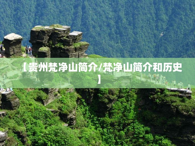 奔腾b50车为啥停产