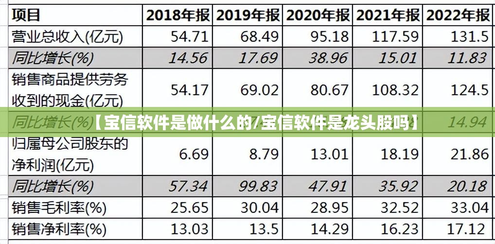 【宝信软件是做什么的/宝信软件是龙头股吗】