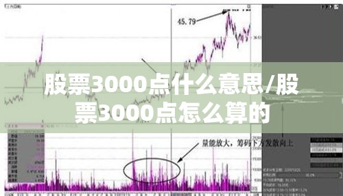股票3000点什么意思/股票3000点怎么算的
