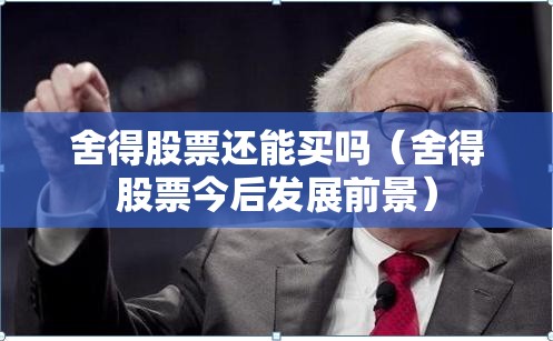 泰克鲁斯·腾风准备发售微型燃气轮机增程器