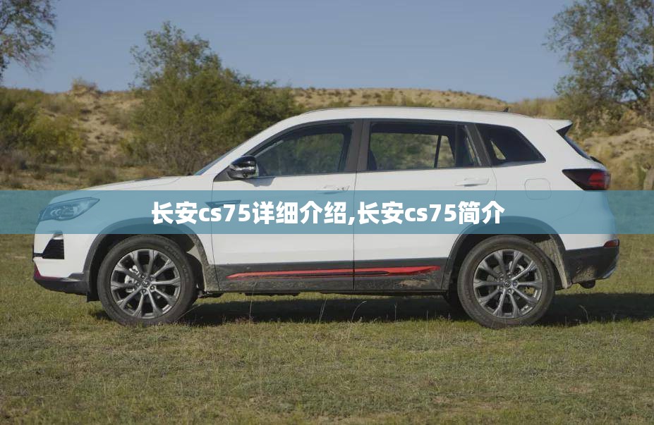 英朗GT1.6 油耗如何