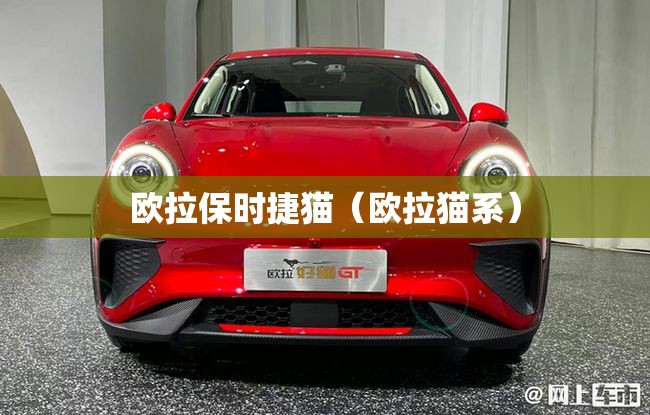 欧拉保时捷猫（欧拉猫系）