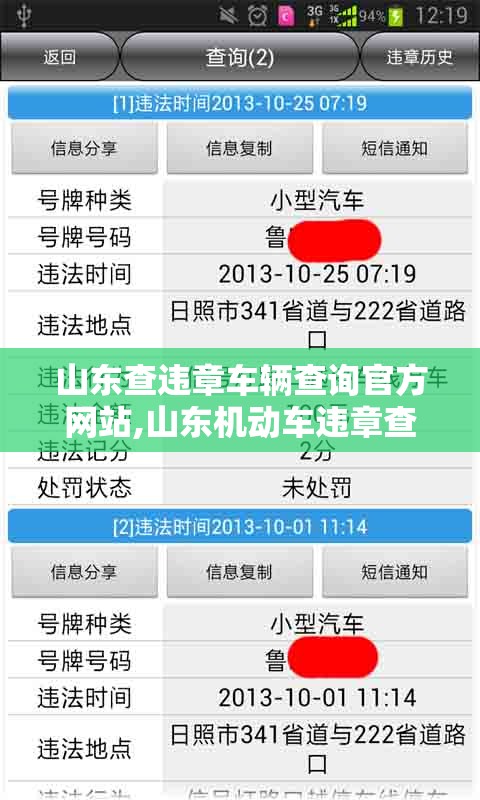 山东查违章车辆查询官方网站,山东机动车违章查询官方网站