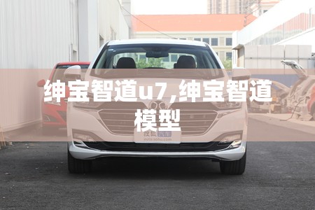 绅宝智道u7,绅宝智道模型