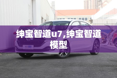 绅宝智道u7,绅宝智道模型