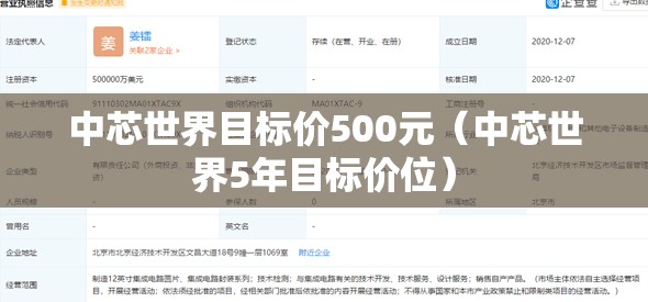 中芯世界目标价500元（中芯世界5年目标价位）