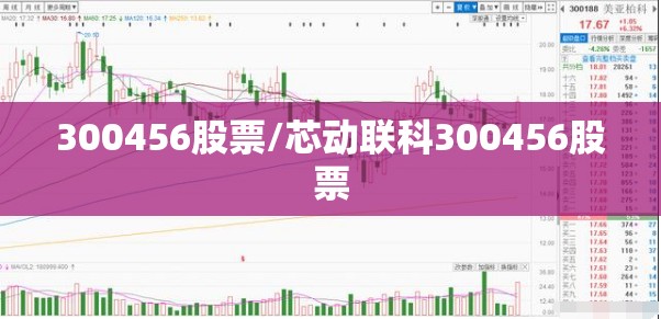 300456股票/芯动联科300456股票