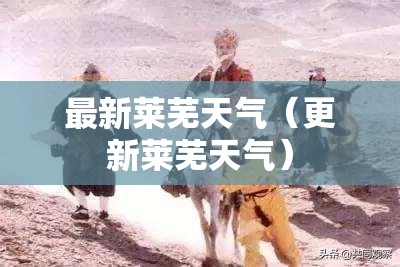 山东查违章车辆查询官方网站,山东机动车违章查询官方网站