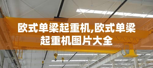 欧式单梁起重机,欧式单梁起重机图片大全