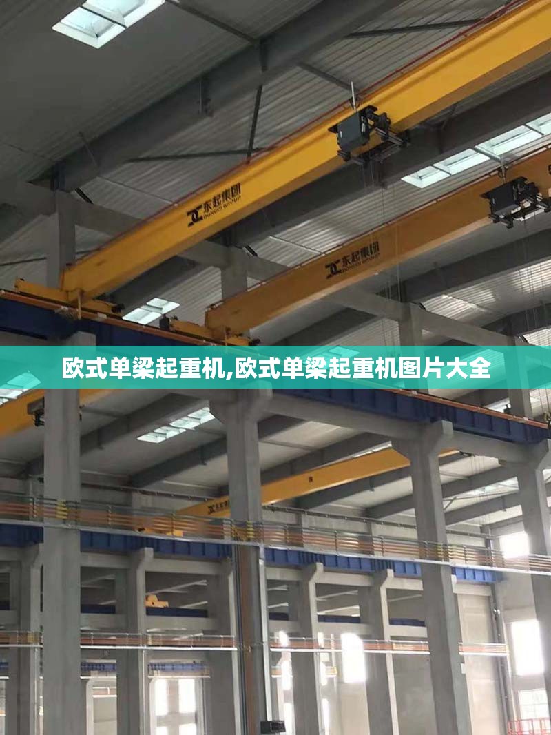 欧式单梁起重机,欧式单梁起重机图片大全