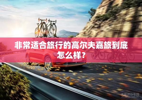 舍得股票还能买吗（舍得股票今后发展前景）
