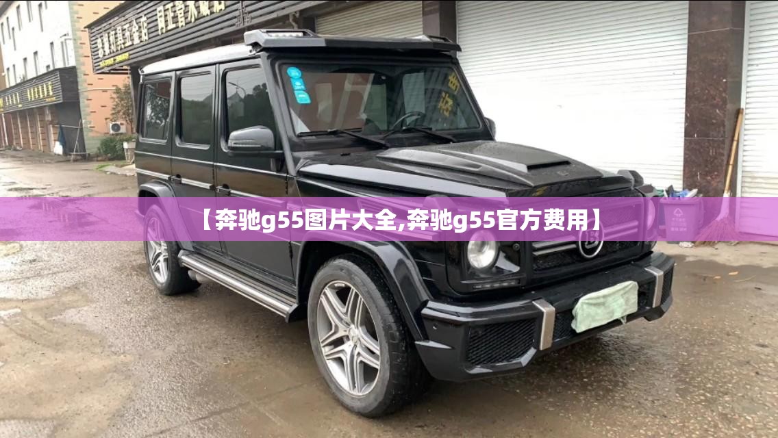 【奔驰g55图片大全,奔驰g55官方费用】