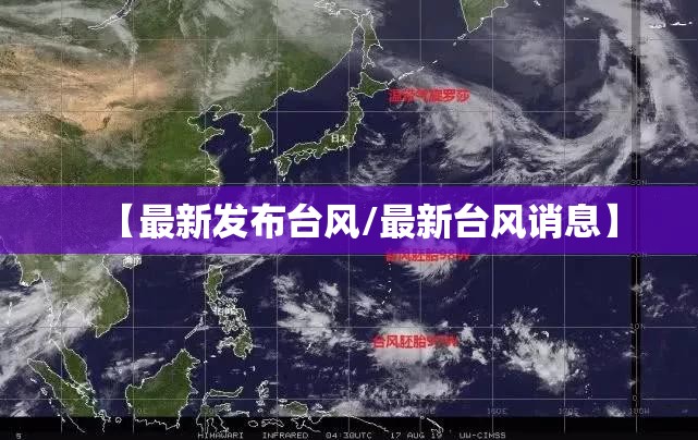 阿斯顿马丁最贵的跑车/阿斯顿马丁最贵的多少钱