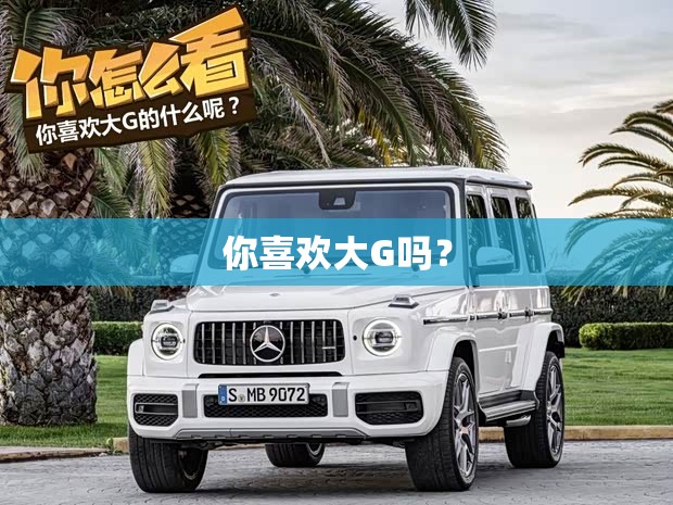 你喜欢大G吗？